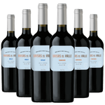 Kit-6-vinhos-Brisas-del-Valle