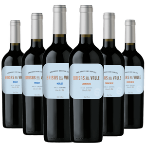 Kit 6 vinhos Brisas del Valle Merlot + Carménère