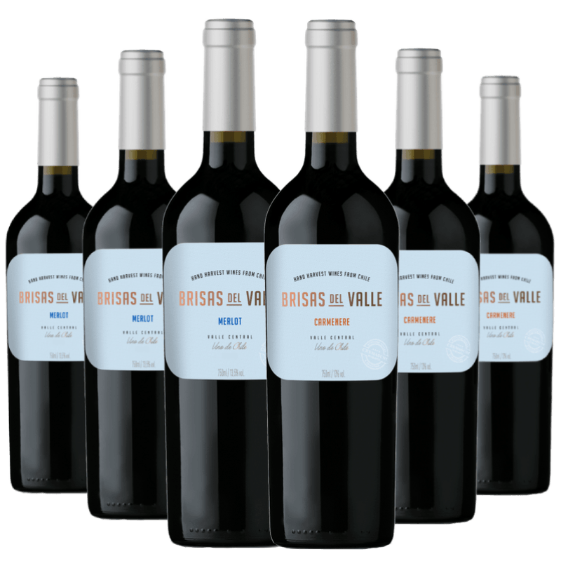 Kit-6-vinhos-Brisas-del-Valle