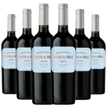 Kit-6-Vinhos-Brisas-del-Valle-Carmenere