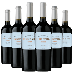 Kit 6 Vinhos Brisas del Valle Carménère