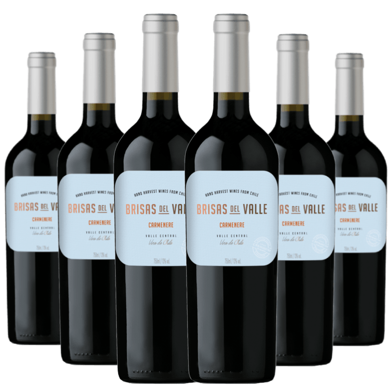 Kit-6-Vinhos-Brisas-del-Valle-Carmenere