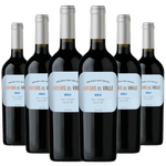 Kit-6-Vinhos-Brisas-del-Valle-Merlot