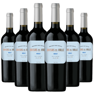 Kit 6 Vinhos Brisas del Valle Merlot