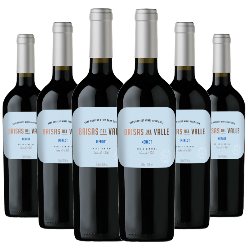 Kit-6-Vinhos-Brisas-del-Valle-Merlot