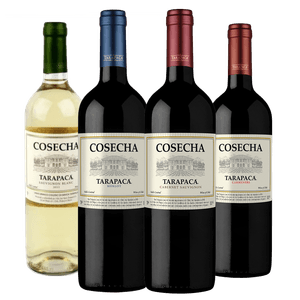 Kit 4 Vinhos Degustação Tarapacá Cosecha