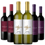 Kit-6-Vinhos-Argentinos-Cruz-del-Sur