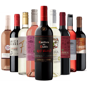 Kit 9 vinhos Best Sellers