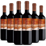 Kit-Caixa-Fechada-6-Garrafas-Carmen-Discovery-Carmenere