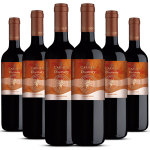 Kit Caixa Fechada 6 Garrafas Carmen Discovery Carménère