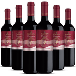 Kit-Caixa-Fechada-6-Garrafas-Carmen-Discovery-Cabernet-Sauvignon