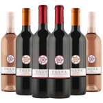 Kit-6-Vinhos-Tolva-