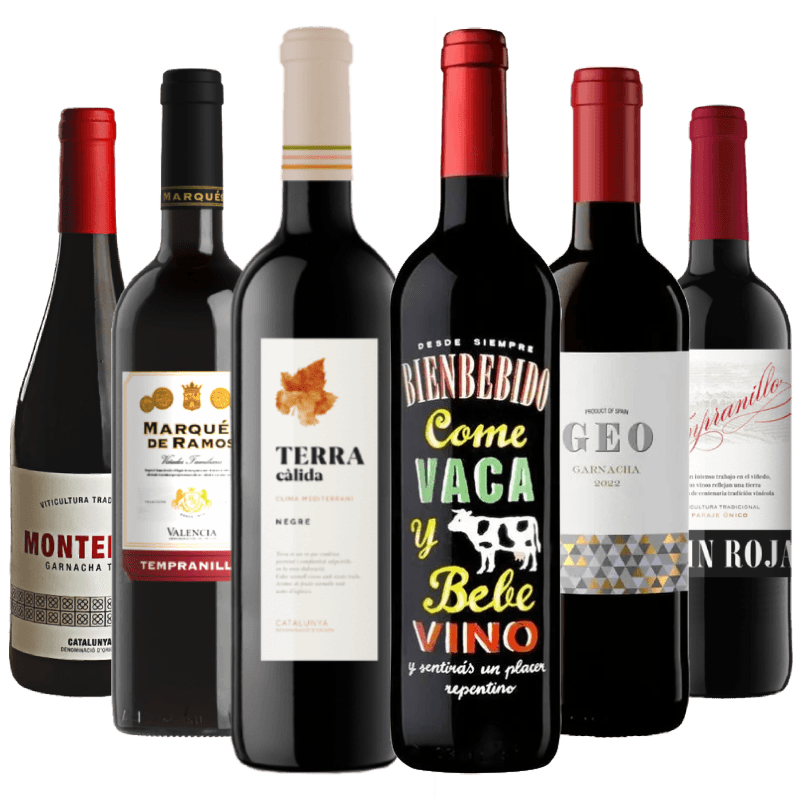 Kit-6-Vinhos-Espanhois--