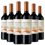 Kit-Caixa-Fechada-6-Vinhos-Tintos-Montgras-Estate-Carmenere