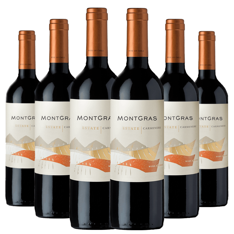 Kit-Caixa-Fechada-6-Vinhos-Tintos-Montgras-Estate-Carmenere