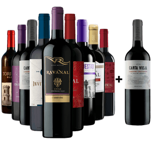 Kit 9 Tintos Mais Vendidos + Cabernet Grátis