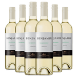 Kit-Caixa-Fechada-6-Vinhos-Branco-Benjamin-Chardonnay