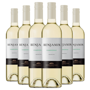 Kit Caixa Fechada 6 Vinhos Branco Benjamin Chardonnay