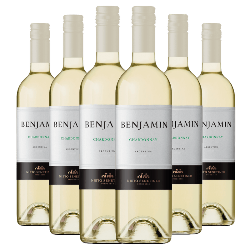 Kit-Caixa-Fechada-6-Vinhos-Branco-Benjamin-Chardonnay