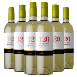 Kit Caixa Fechada 6 Vinhos Branco Santa Rita 120 Sauvignon Blanc