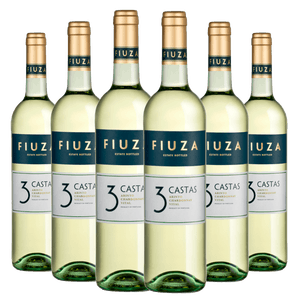 Kit Caixa Fechada 6 Vinhos Branco Fiuza 3 Castas Blend