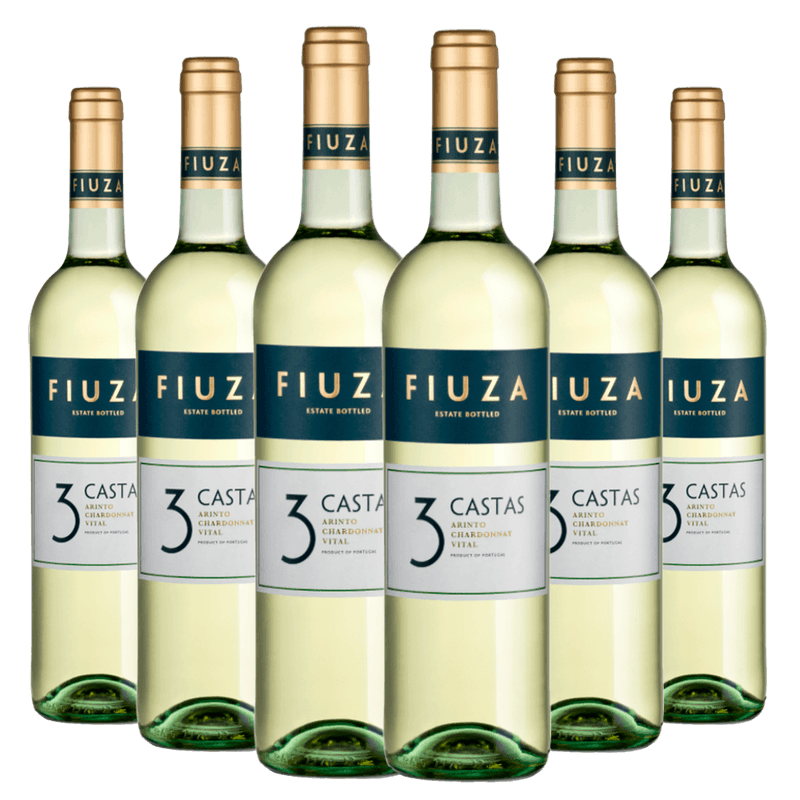 Kit-Caixa-Fechada-6-Vinhos-Branco-Fiuza-3-Castas-Blend