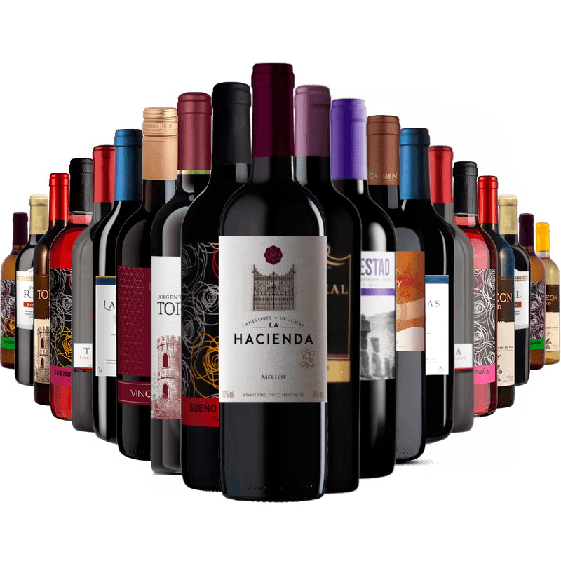 Kit-Adega-Cheia-20-Vinhos