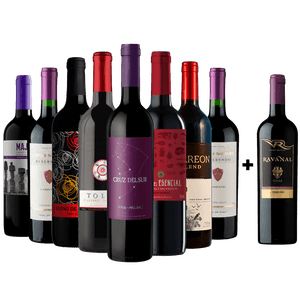 Kit 8 Vinhos Tintos + 1 Carménère Chileno Grátis