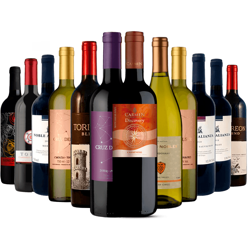 Kit-12-Vinhos-Best-Sellers-Divvino