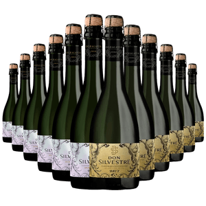 Kit 12 Garrafas Espumante Don Silvestre Demi-Sec e Brut