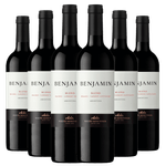 Kit-Caixa-Fechada-6-Vinhos-Benjamin-Blend