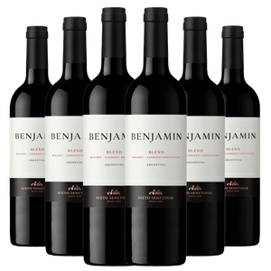 Kit Caixa Fechada 6 Vinhos Benjamin Blend