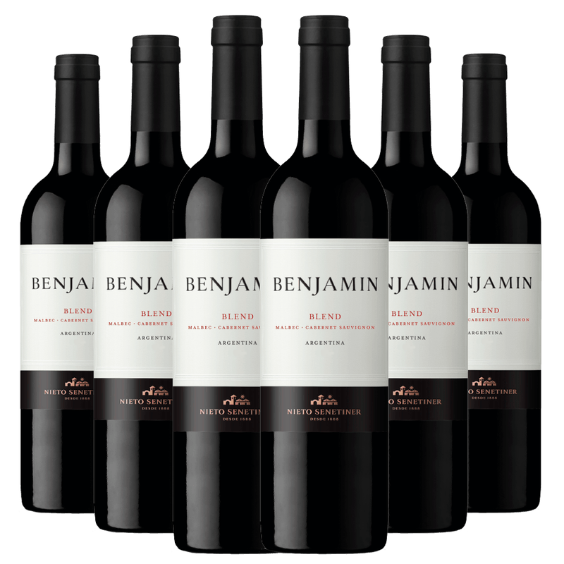 Kit-Caixa-Fechada-6-Vinhos-Benjamin-Blend