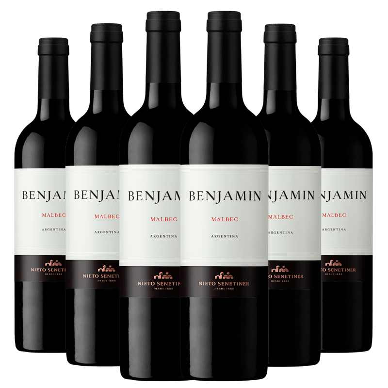 Kit-Caixa-Fechada-6-Vinhos-Benjamin-Malbec