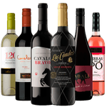 Kit-6-Vinhos-Campeoes