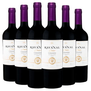 Kit 06 Garrafas Vinho Ravanal Carménère