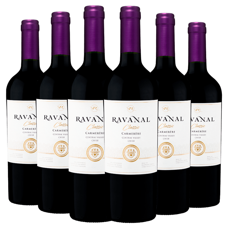 Kit-06-Garrafas-Vinho-Ravanal-Carmenere