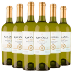 Kit-6-Garrafas-Ravanal-Sauvignon-Blanc