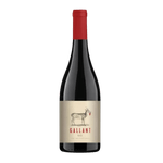 Vinho-Sul-Africano-Rhebokskloof-Gallant-Red-Blend