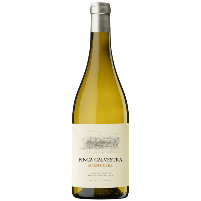 Vinho-Branco-Espanhol-Mustiguillo-Finca-Calvestra-Merseguera