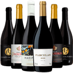 Kit-6-Garrafas-Os-Melhores-Vinhos-Do-Dao