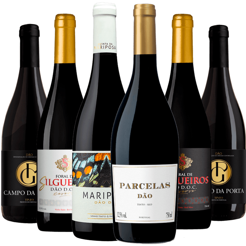 Kit-6-Garrafas-Os-Melhores-Vinhos-Do-Dao