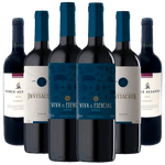 Kit-6-Vinhos-Tannat