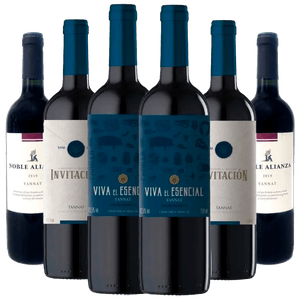 Kit 6 Vinhos Tannat