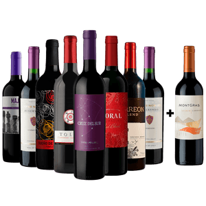 Kit 8 Vinhos Tintos + 1 Carménère Chileno Grátis