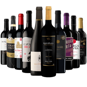 Kit 10 Vinhos Tintos Premium