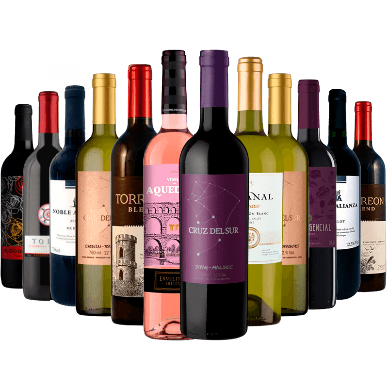 Kit-12-Vinhos-Best-Sellers-Divvino