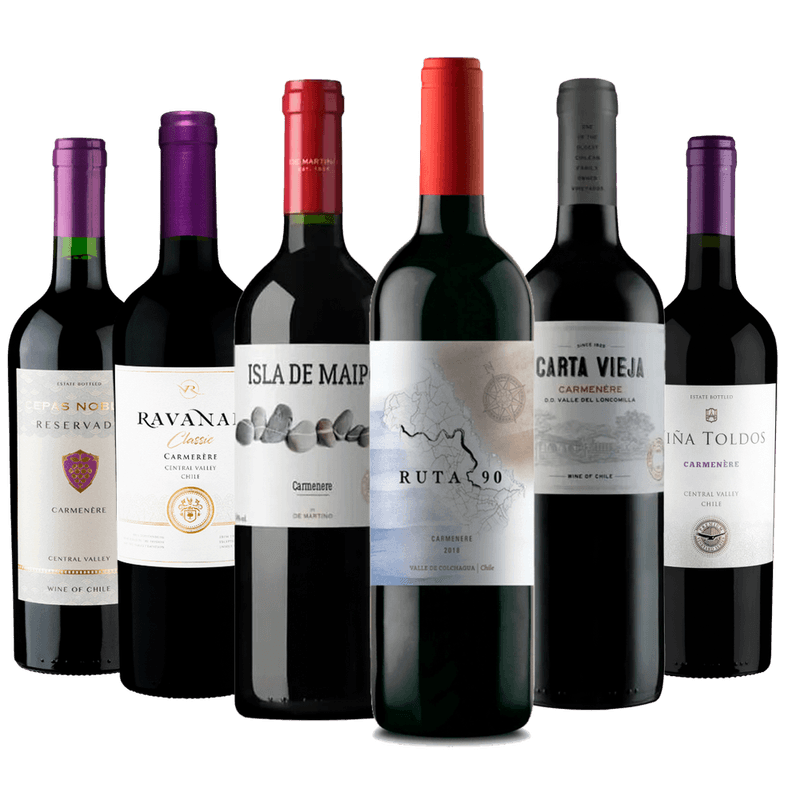 Kit-6-Vinhos-Carmenere-do-Chile
