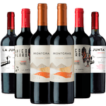 Kit-6-Vinhos-Carmenere