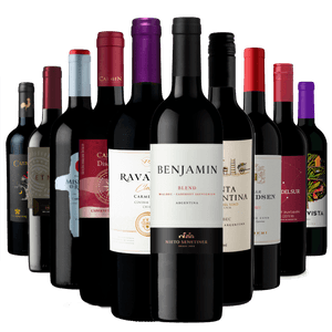 Kit 5 Vinhos Chilenos + 5 Vinhos Argentinos